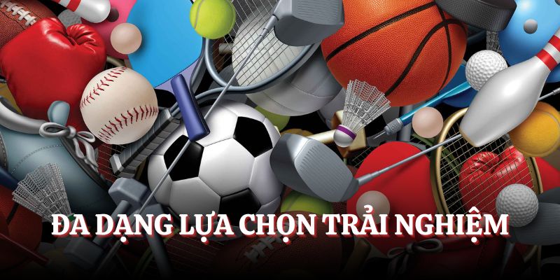 Đa dạng lựa chọn trải nghiệm