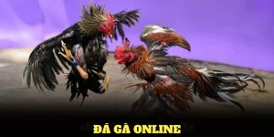 Đá gà online