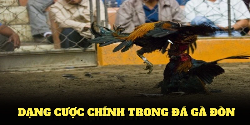 Tổng hợp các dạng cược chính trong đá gà đòn