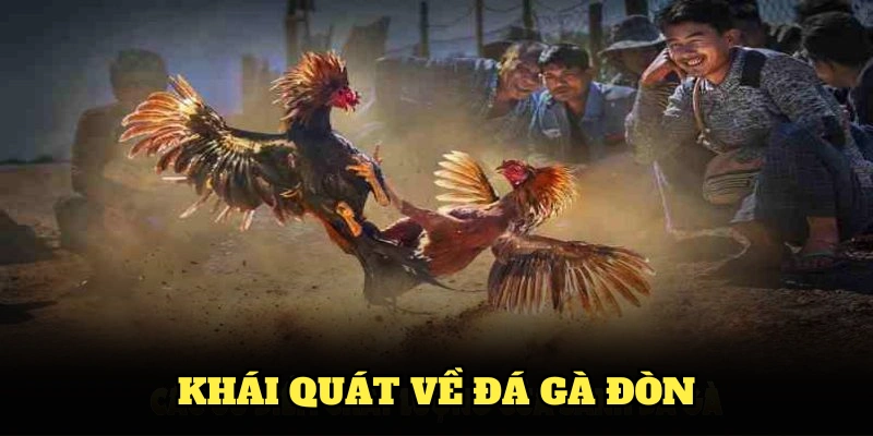 Khái quát về đá gà đòn và các thông tin hữu ích